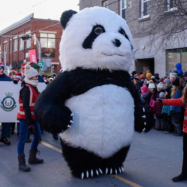Mascotte Panda géant